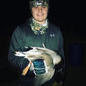 Meet your Posher, Jackson